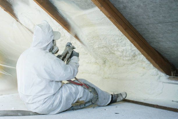 Types of Insulation We Offer in Indialantic, FL